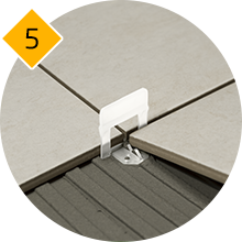 dls_step5.png